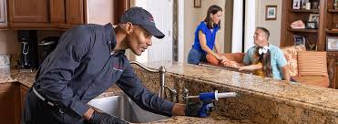 Professional Pest Control in Rogue River, OR